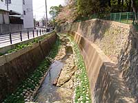 下の川都市下水路（平和地区）整備後