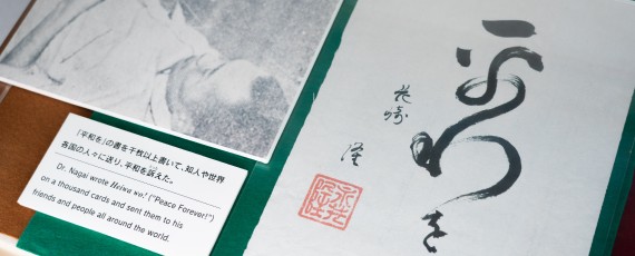 平和の写真2枚目