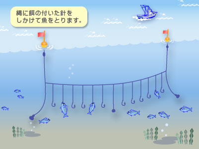 延縄漁業