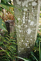 Ҥ2