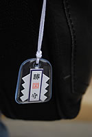 ǽ桪