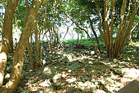 ʺʯ
