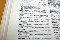 Xoyu 祦ʸ