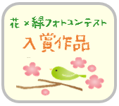 花緑フォトコンアイコン