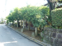 歴史豊かな古賀地区の長崎街道