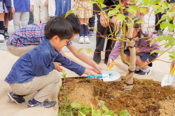被爆クスノキ2世の苗木の植樹の画像3