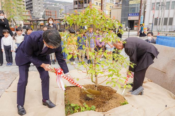 被爆クスノキ2世の苗木の植樹の画像4