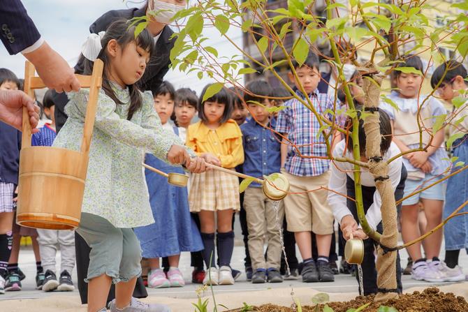被爆クスノキ2世の苗木の植樹の画像5