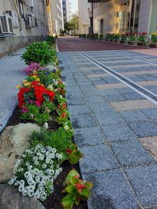 花壇・植栽の整備の画像2