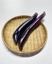 長崎長ナスの画像