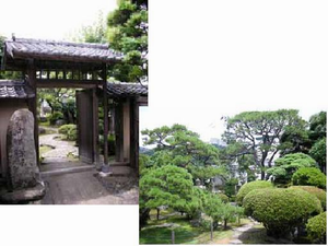 中の茶屋