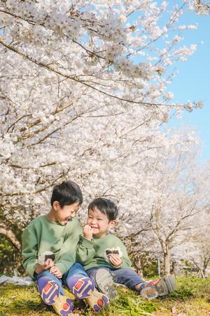 桜とおにぎりと兄弟