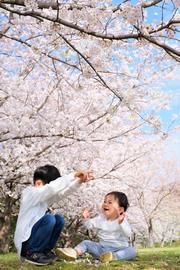 楽しいお花見