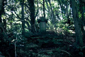宮摺山ン神の社叢