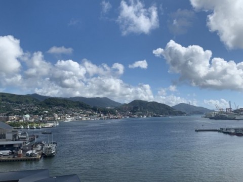 展望台から見える景色の画像