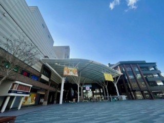 引っ越しの時期ですねの画像