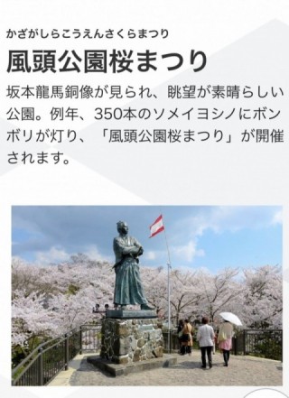 坂本龍馬像で有名な風頭(かざがしら)公園の桜の画像