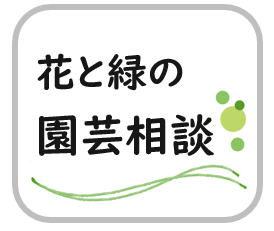 花と緑の園芸相談