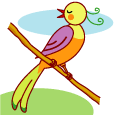 鳥の画像