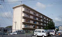 富士見団地1