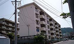 富士見団地2