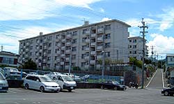 女の都団地2