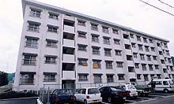 網場団地