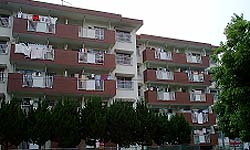 草住団地2