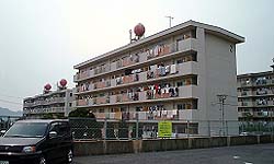 毛井首団地2