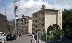 西北団地2