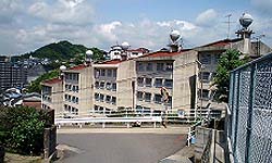 若竹団地2