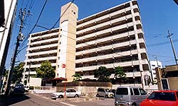 文教団地2