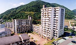矢上団地1