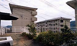 宿町第3団地2