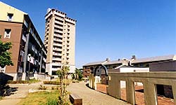 矢上第3団地1