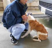 犬の保定3.