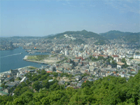 常盤の画像