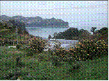 茂木ビワ産地