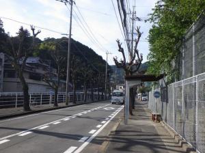 剪定後1