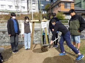 日見小の植樹