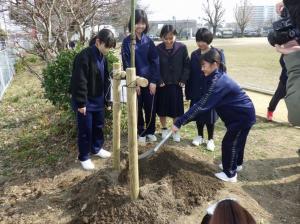 日見中の植樹