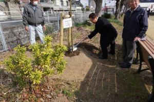 日見地区連合自治会の植樹