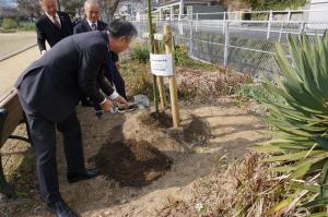 長崎市関係者の植樹