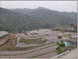 大中尾棚田