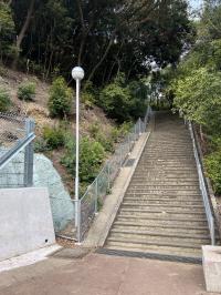 公園内歩道際の金網