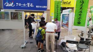 ゲンジホタルの幼虫展示