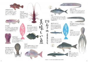 さしみシティガイドブック　四季の美味しい魚