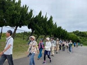 参加者が屋外を歩いている様子