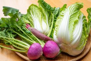 長崎伝統野菜
