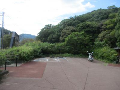 せん定前2